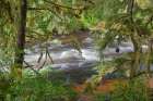 USA, Alaska, Anan Creek. Scenic with rapids and trees. Art Print